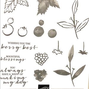 Stampin up stamp - berry blessings